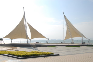 食育教育的内容是什么？