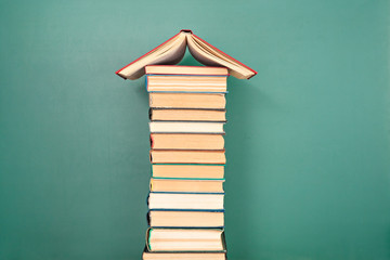 南山植物园开放时间是什么时候