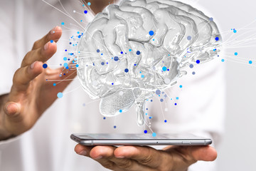 人们有哪些保护自然环境的例子