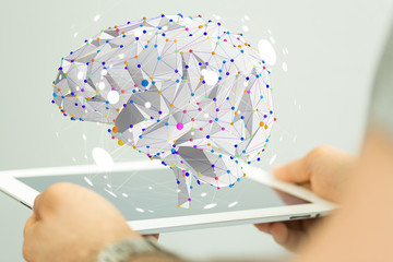 食育教育的内容是什么？