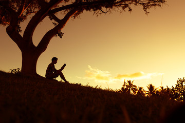 内蒙古海水稻种植