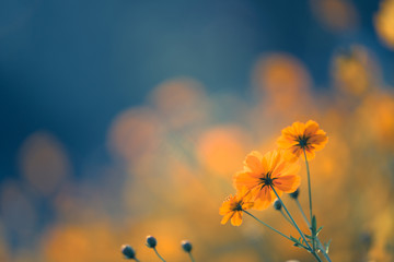 人教版小学科学四年级下册教学计划