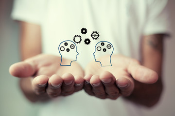 人教版小学科学四年级下册教学计划