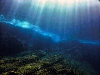 南山植物园开放时间是什么时候