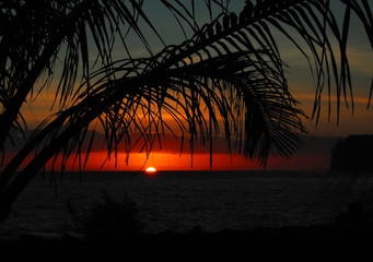 七夕情人节活动策划案