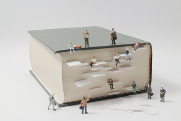 三年级科学植物有哪些相同的特点教案