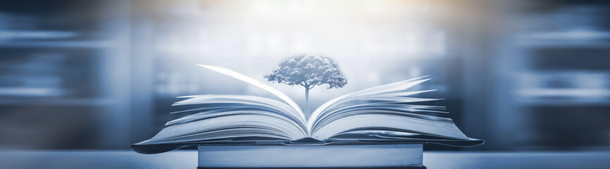 女生性格软弱表现