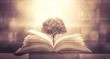 三年级科学植物有哪些相同的特点教案