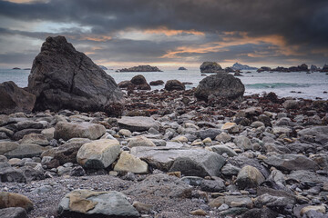 人教版小学科学四年级下册教学计划