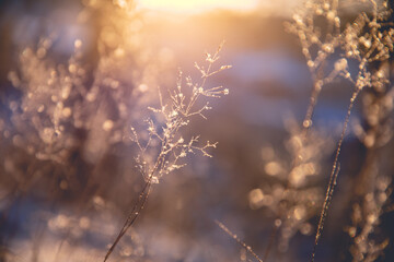 人教版小学科学四年级下册教学计划