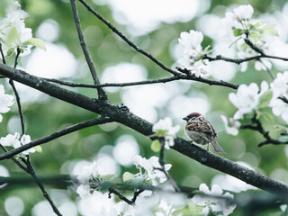 南山植物园开放时间是什么时候