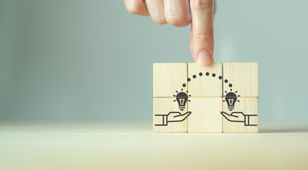 内蒙古海水稻种植