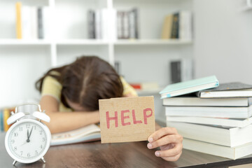 食育教育的内容是什么？