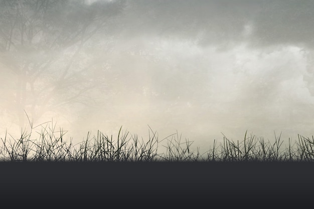 人们有哪些保护自然环境的例子