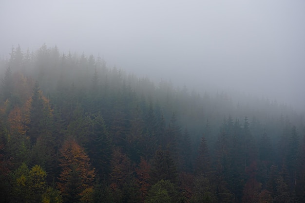 食育教育的内容是什么？