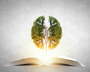 初中语文说明文答题方法及套路