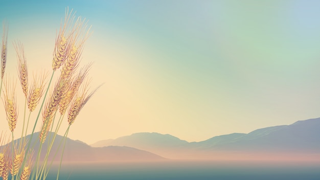 老九门是哪九门