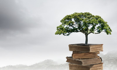 老九门是哪九门