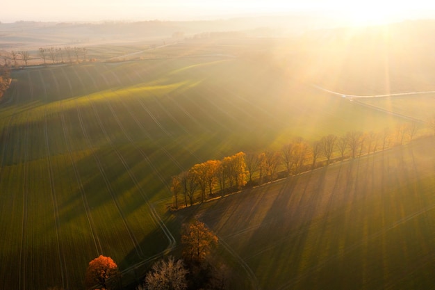 内蒙古海水稻种植
