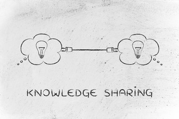 南山植物园开放时间是什么时候