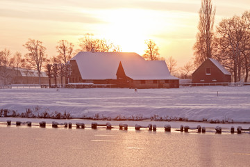 南山植物园开放时间是什么时候